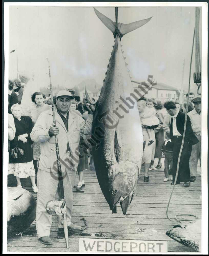 Attached picture Tony-Accardo-with-Tuna.jpg