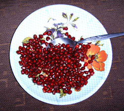 Attached picture 49-pomegranate.jpg